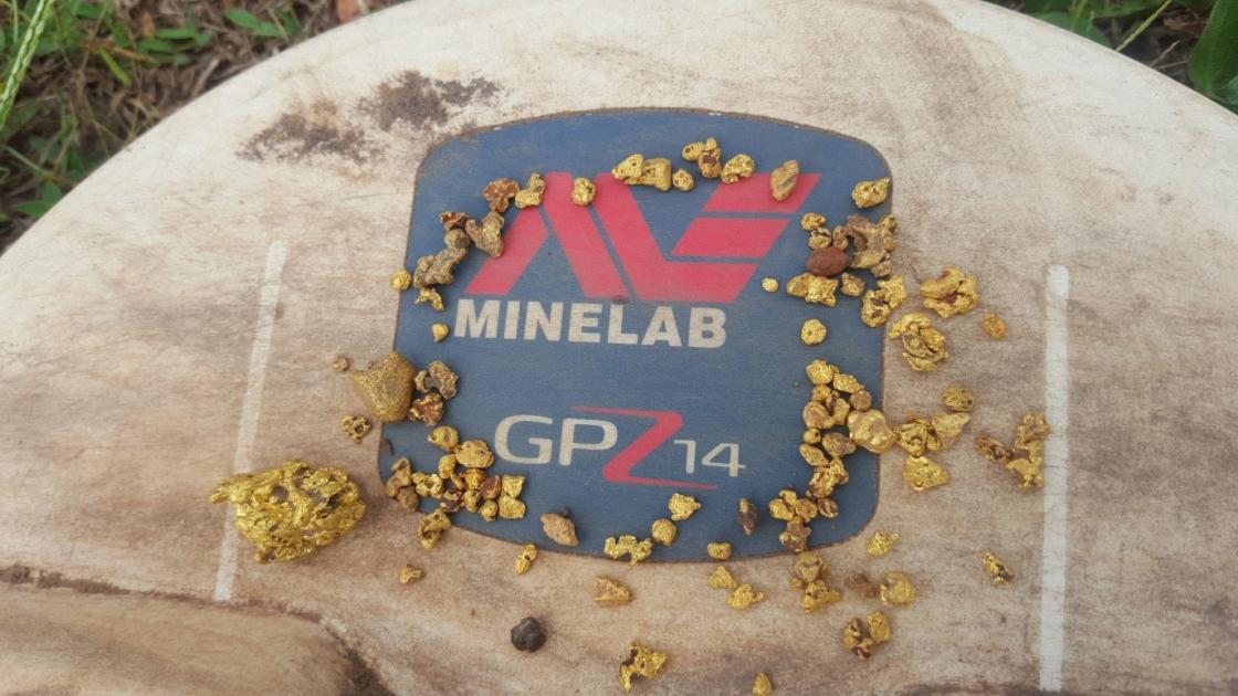 https://www.bodensuche.de/images/gpz-golddetector.jpg